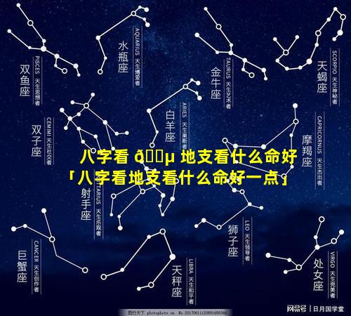 八字看 🐵 地支看什么命好「八字看地支看什么命好一点」